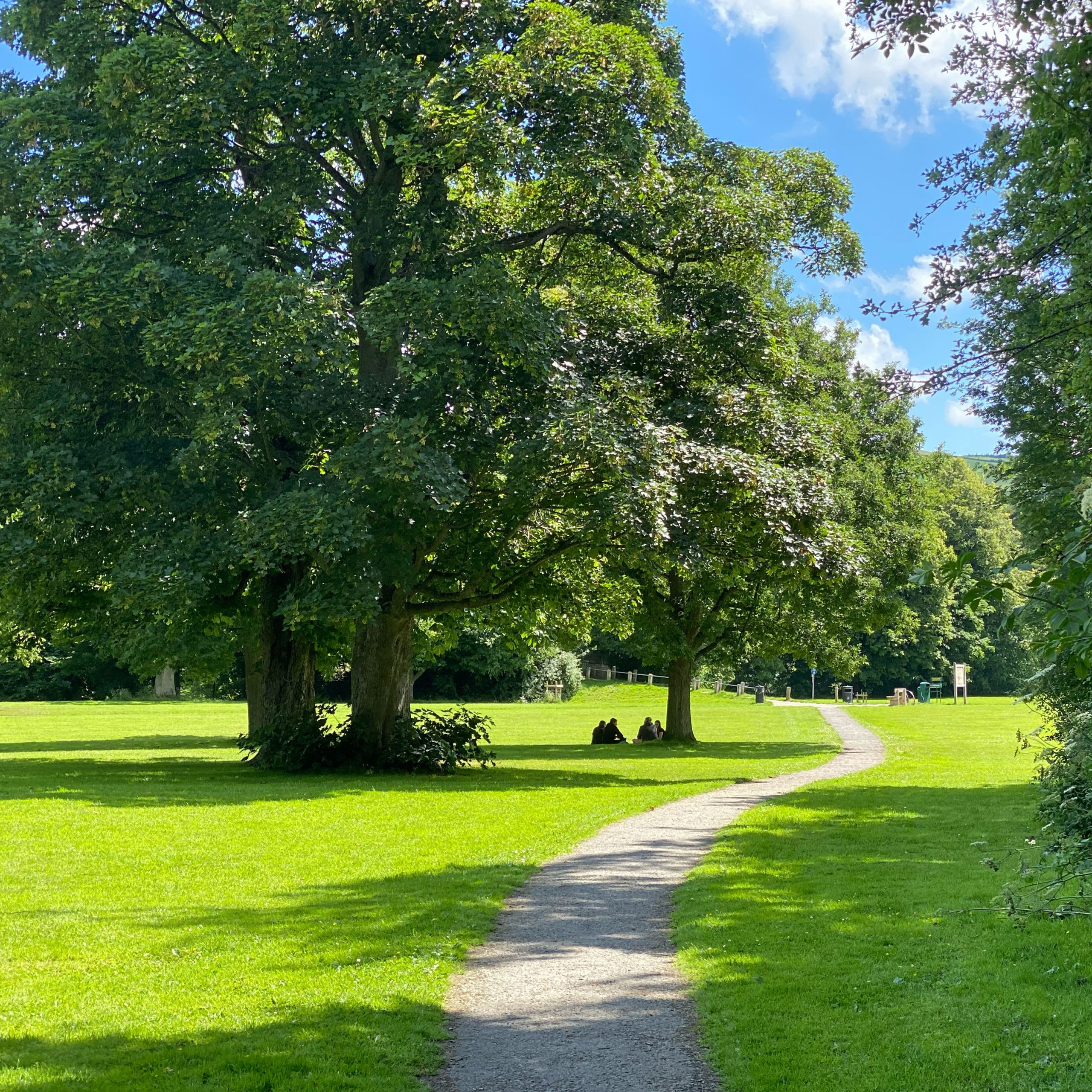 Welsh Government invests in Newtown wellbeing projects linked to ...