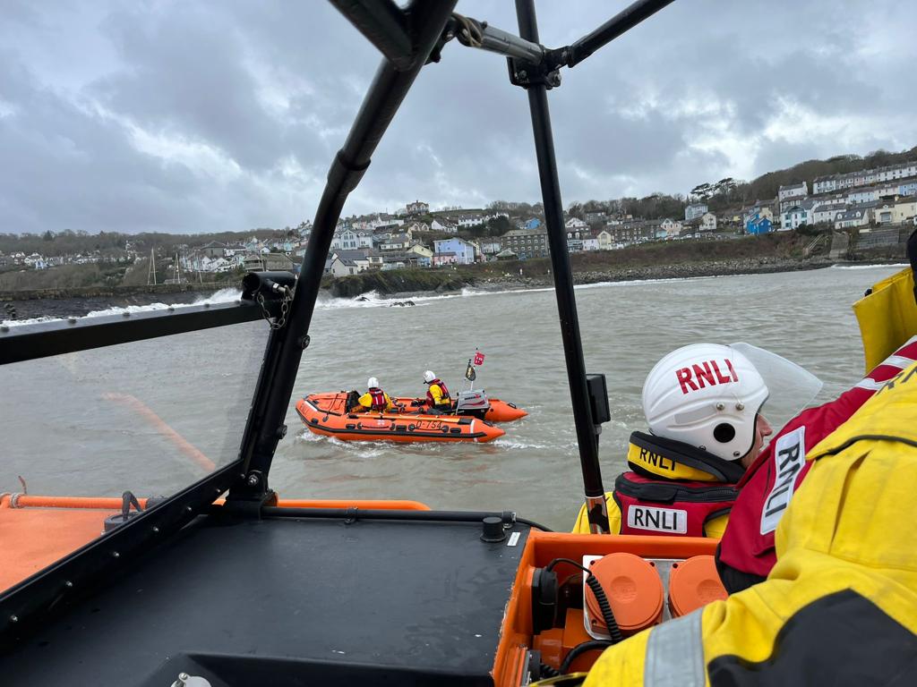 New Quay RNLI’s Lifeboats Launch To Rescue Dog - Herald.Wales