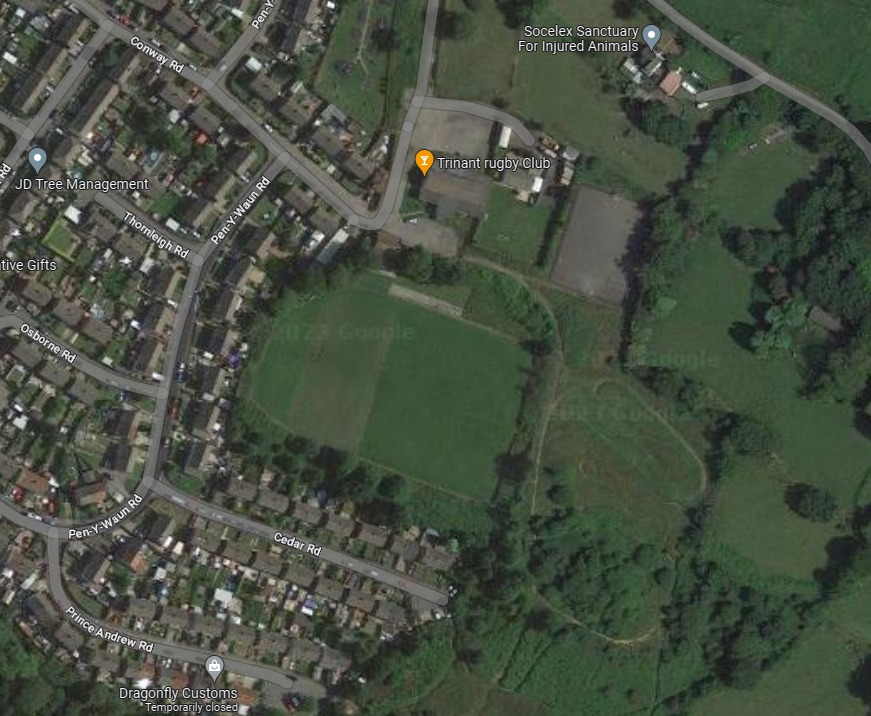 Housing development in Trinant approved despite animal welfare charity ...