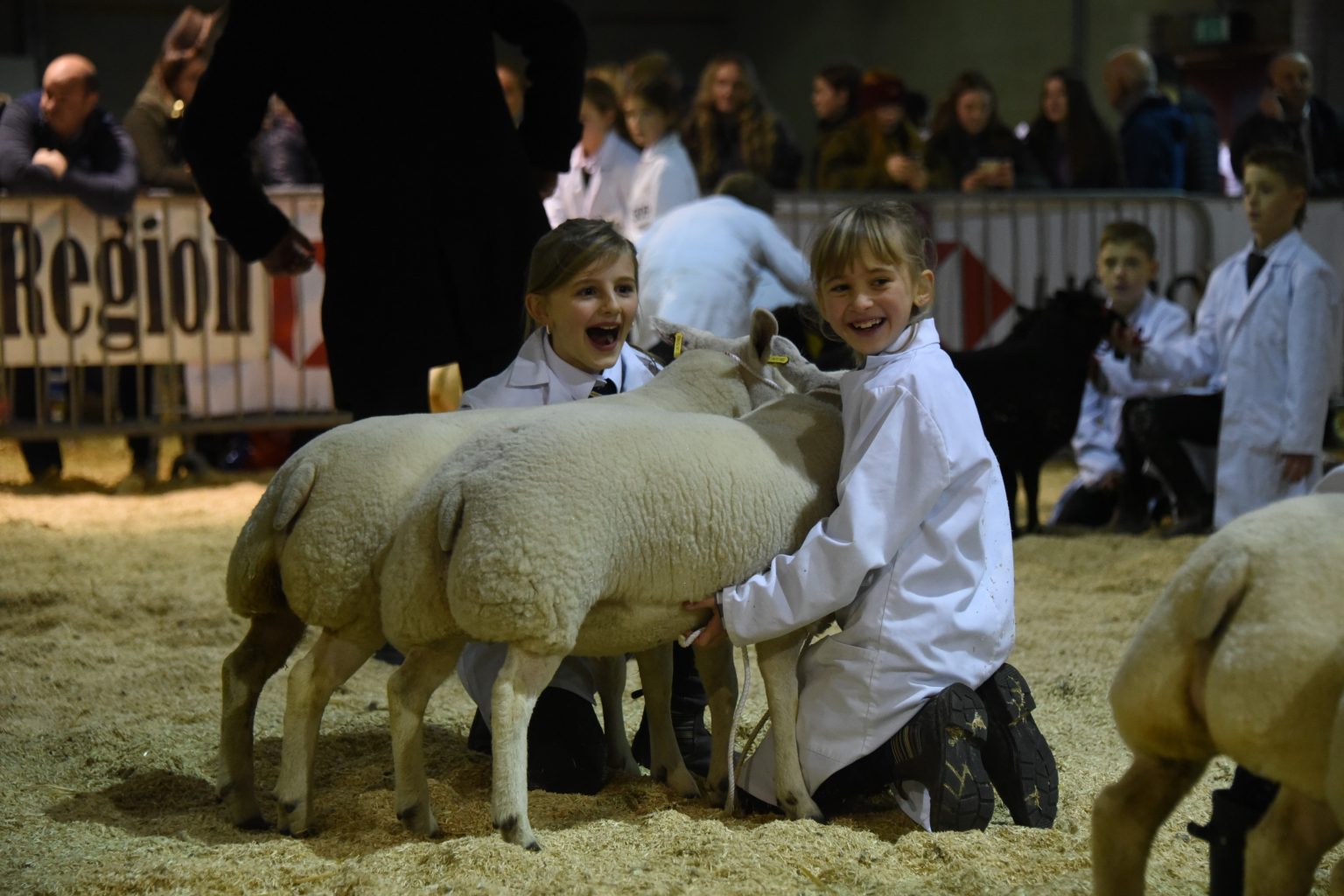 Free entry for school trips to the Royal Welsh Winter Fair Herald.Wales