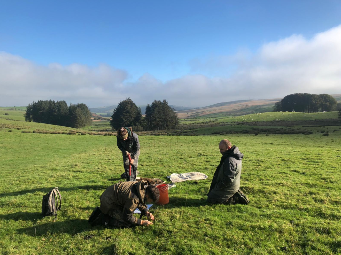 Value of hedges in storing carbon studied in soil project - Herald.Wales