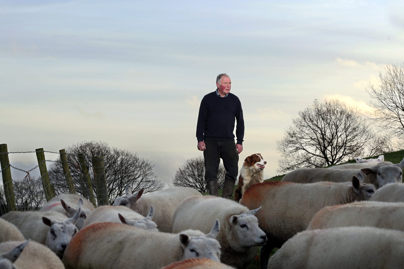 Welsh farmer warns antibiotic resistance is a risk to human health ...